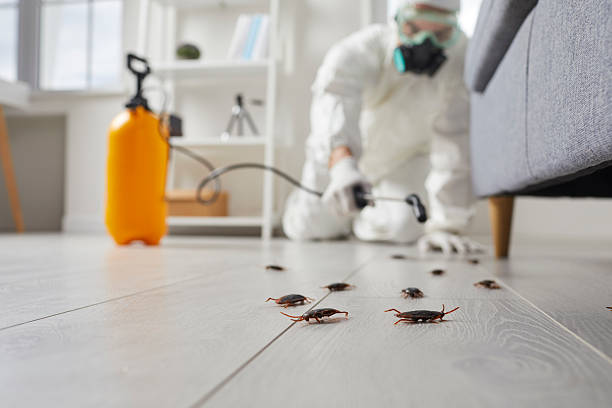 Commercial Kitchen Cockroach Control in Moncks Corner